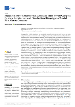 Measurement of Chromosomal Arms and FISH Reveal Complex Genome Architecture and Standardized Karyotype of Model Fish, Genus Carassius