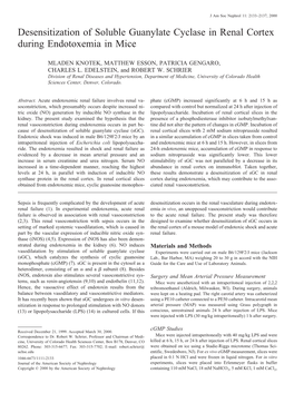 Desensitization of Soluble Guanylate Cyclase in Renal Cortex During Endotoxemia in Mice