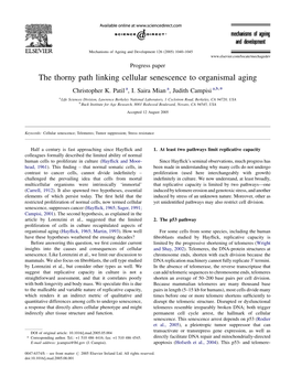 The Thorny Path Linking Cellular Senescence to Organismal Aging Christopher K