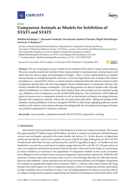 Companion Animals As Models for Inhibition of STAT3 and STAT5