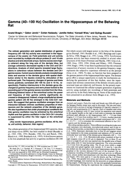 Gamma Rat ,100 Hz) Oscillation Hippocampus Behaving