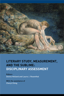 Literary Study, Measurement, and the Sublime: Disciplinary Assessment