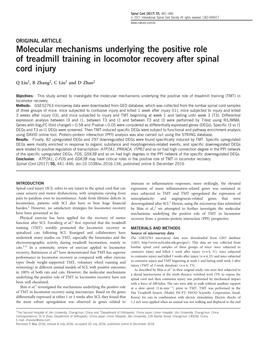 Molecular Mechanisms Underlying the Positive Role of Treadmill Training in Locomotor Recovery After Spinal Cord Injury