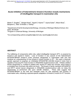 Acute Inhibition of Heterotrimeric Kinesin-2 Function Reveals Mechanisms of Intraflagellar Transport in Mammalian Cilia