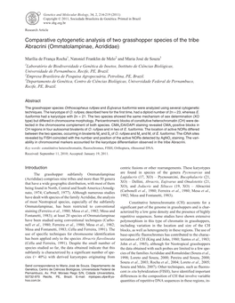 Comparative Cytogenetic Analysis of Two Grasshopper Species of the Tribe Abracrini (Ommatolampinae, Acrididae)