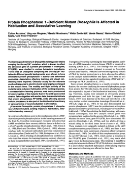 Protein Phosphatase 1 -Deficient Mutant Drosophila Is Affected in Habituation and Associative Learning