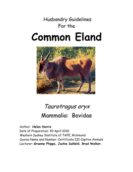 Common Eland