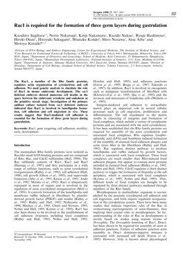 Rac1 Is Required for the Formation of Three Germ Layers During Gastrulation