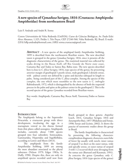 Crustacea: Amphipoda: Ampithoidae) from Northeastern Brazil