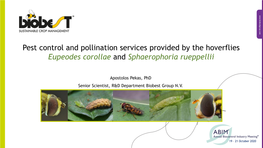 Pest Control and Pollination Services Provided by the Hoverflies