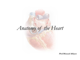 Anatomy of the Heart