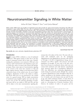 Neurotransmitter Signaling in White Matter