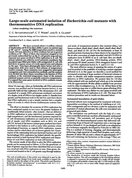 Thermosensitive DNA Replication (Colony Morphology/Dna Mutations) C