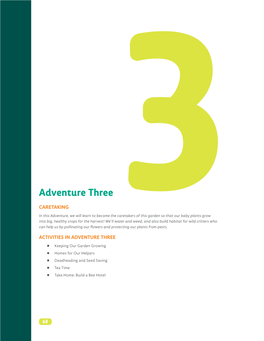 Adventure Three