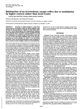 Habituation of an Invertebrate Escape Reflex Due to Modulation by Higher