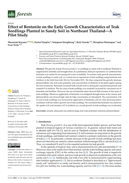 Effect of Bentonite on the Early Growth Characteristics of Teak Seedlings Planted in Sandy Soil in Northeast Thailand—A Pilot Study