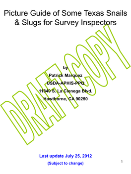 Picture Guide of Some Texas Snails & Slugs for Survey Inspectors
