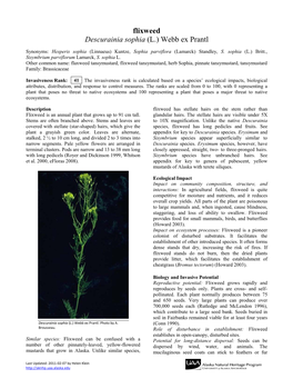 Flixweed Descurainia Sophia (L.) Webb Ex Prantl