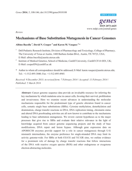 Mechanisms of Base Substitution Mutagenesis in Cancer Genomes