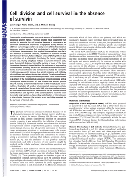 Cell Division and Cell Survival in the Absence of Survivin