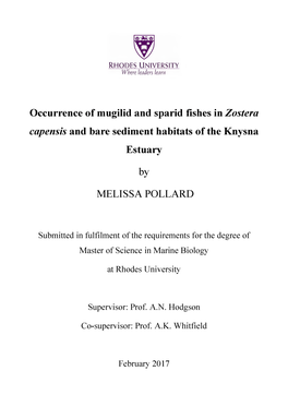 Occurrence of Mugilid and Sparid Fishes in Zostera Capensis and Bare Sediment Habitats of the Knysna Estuary by MELISSA POLLARD