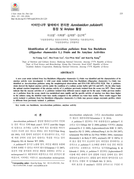 비타민나무 열매에서 분리한 Aureobasidium Pullulans의 동정 및 Amylase 활성