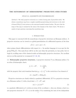 The Monodromy of Meromorphic Projective Structures