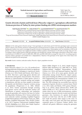 Genetic Diversity of Pinto and Fresh Bean (Phaseolus Vulgaris