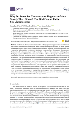 The Odd Case of Ratite Sex Chromosomes