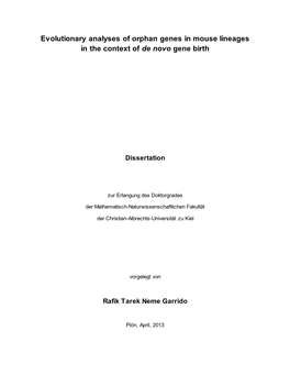 Evolutionary Analyses of Orphan Genes in Mouse Lineages in the Context of De Novo Gene Birth