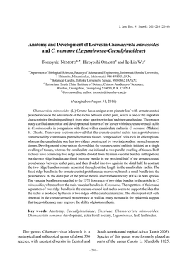 Anatomy and Development of Leaves in Chamaecrista Mimosoides and C