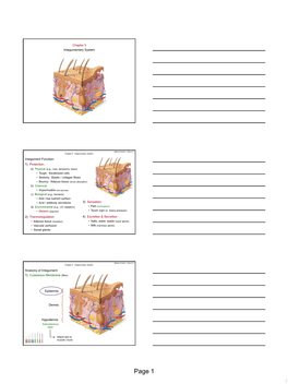 Integumentary System Integument Function