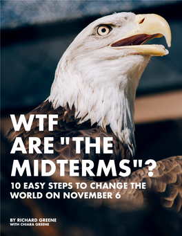 “The Midterm Elections”?