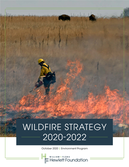 Wildfire Strategy 2020-2022