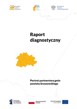 Raport Diagnostyczny Portret Partnerstwa Tu Wpisz Swoją Nazwę Partnerstwa