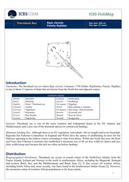 Thornback Ray Family Rajidae Max Age: 15 Years