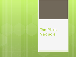 The Plant Vacuole Vacuole