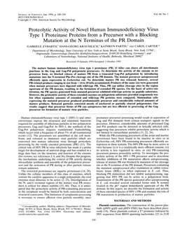 Proteolytic Activity of Novel Human Immunodeficiency Virus Type 1