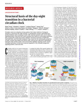 Structural Basis of the Day-Night Transition in a Bacterial Circadian Clock Roger Tseng, Nicolette F