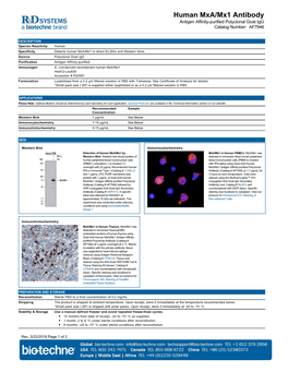 Human Mxa/Mx1 Antibody Antigen Affinity-Purified Polyclonal Goat Igg Catalog Number: AF7946