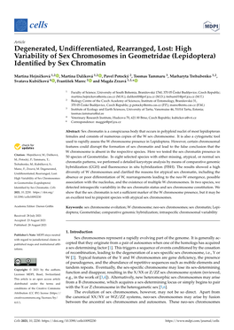 High Variability of Sex Chromosomes in Geometridae (Lepidoptera) Identiﬁed by Sex Chromatin