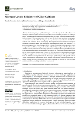 Nitrogen Uptake Efficiency of Olive Cultivars