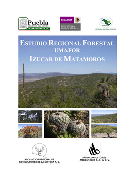 Estudio Regional Forestal Umafor Izucar De Matamoros