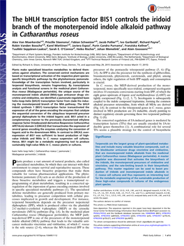 The Bhlh Transcription Factor BIS1 Controls the Iridoid Branch of the Monoterpenoid Indole Alkaloid Pathway in Catharanthus Roseus