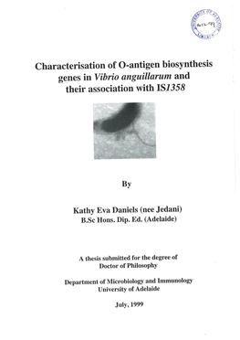 Characterisation of O-Antigen Biosynthesis Genes in Vibro Anguillarum and Their Association with IS1358