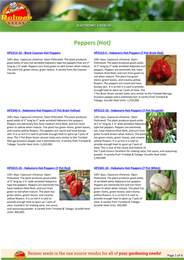 Reimer Seeds Catalog