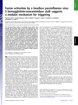 Fusion Activation by a Headless Parainfluenza Virus 5