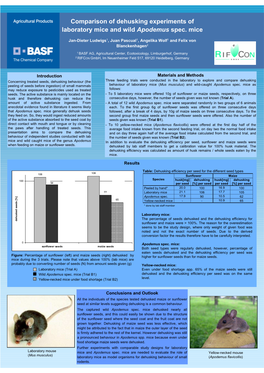 Comparison of Dehusking Experiments of Laboratory Mice and Wild Apodemus Spec. Mice