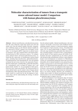 Molecular Characterization of Tumors from a Transgenic Mouse Adrenal Tumor Model: Comparison with Human Pheochromocytoma