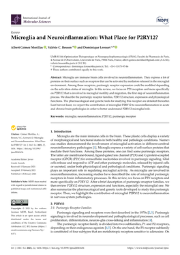 Microglia and Neuroinflammation: What Place for P2RY12?